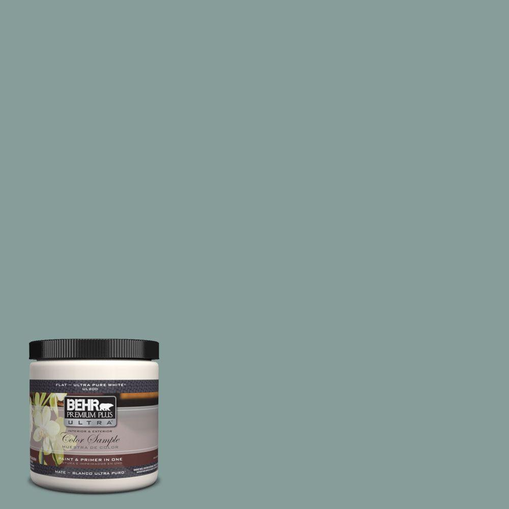 Behr Premium Plus Ultra 8 Oz Ul220 18 Agave Matte Interior Ul220 18 Agave Matte Interior Exterior Paint And Primer In One Sample