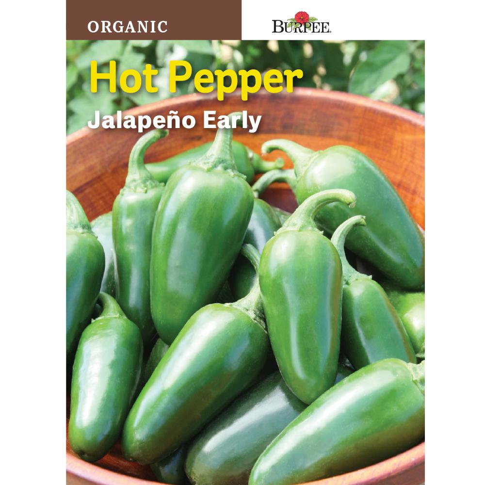 FerryMorse Pepper California Wonder Organic Seed1435 The Home Depot