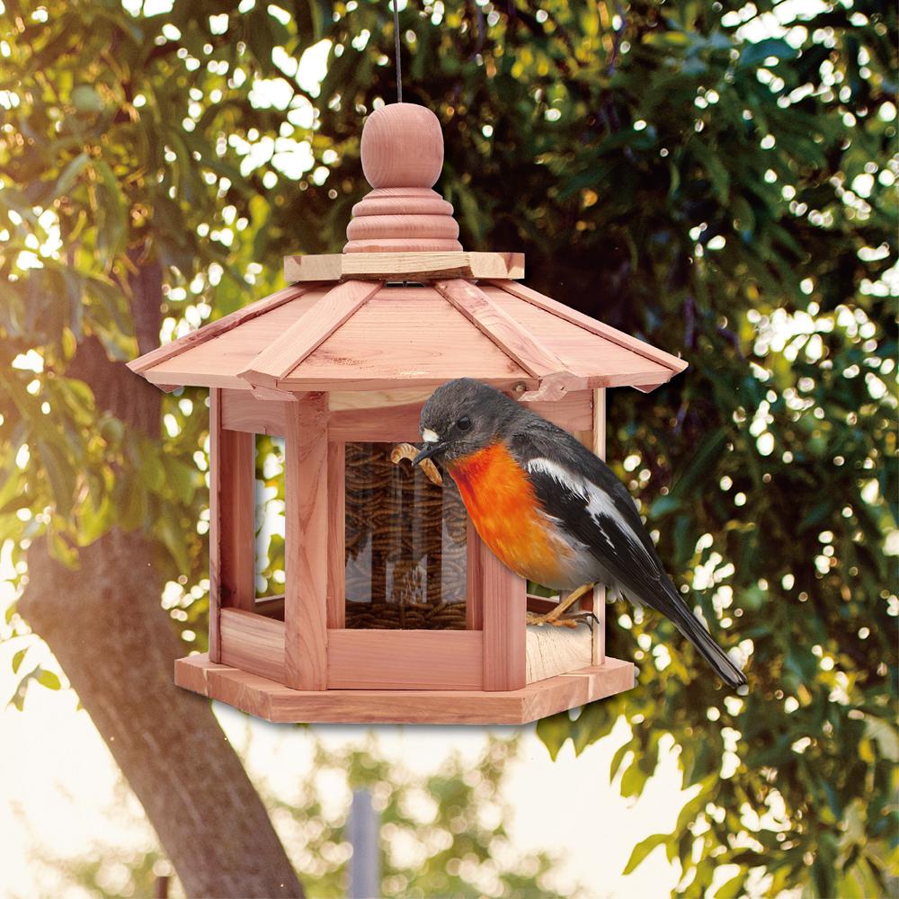 Worth Garden 12 In Red Cedar Wood Hexagonal Pavilion Bird Feeder
