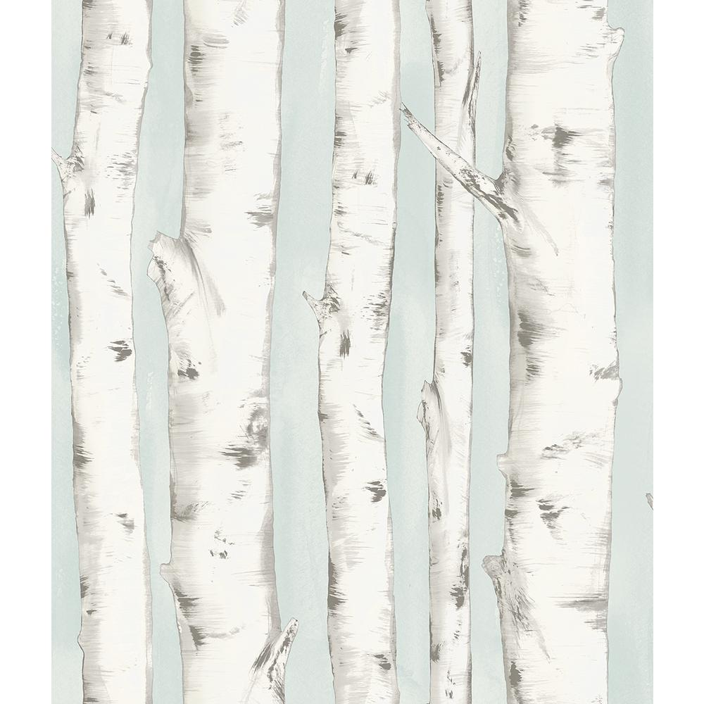Chesapeake 8 In X 10 Pioneer Light Blue Birch Tree Wallpaper Pioneer Light Blue Birch Tree Wallpaper Sample 3118 12602sam The Home Depot
