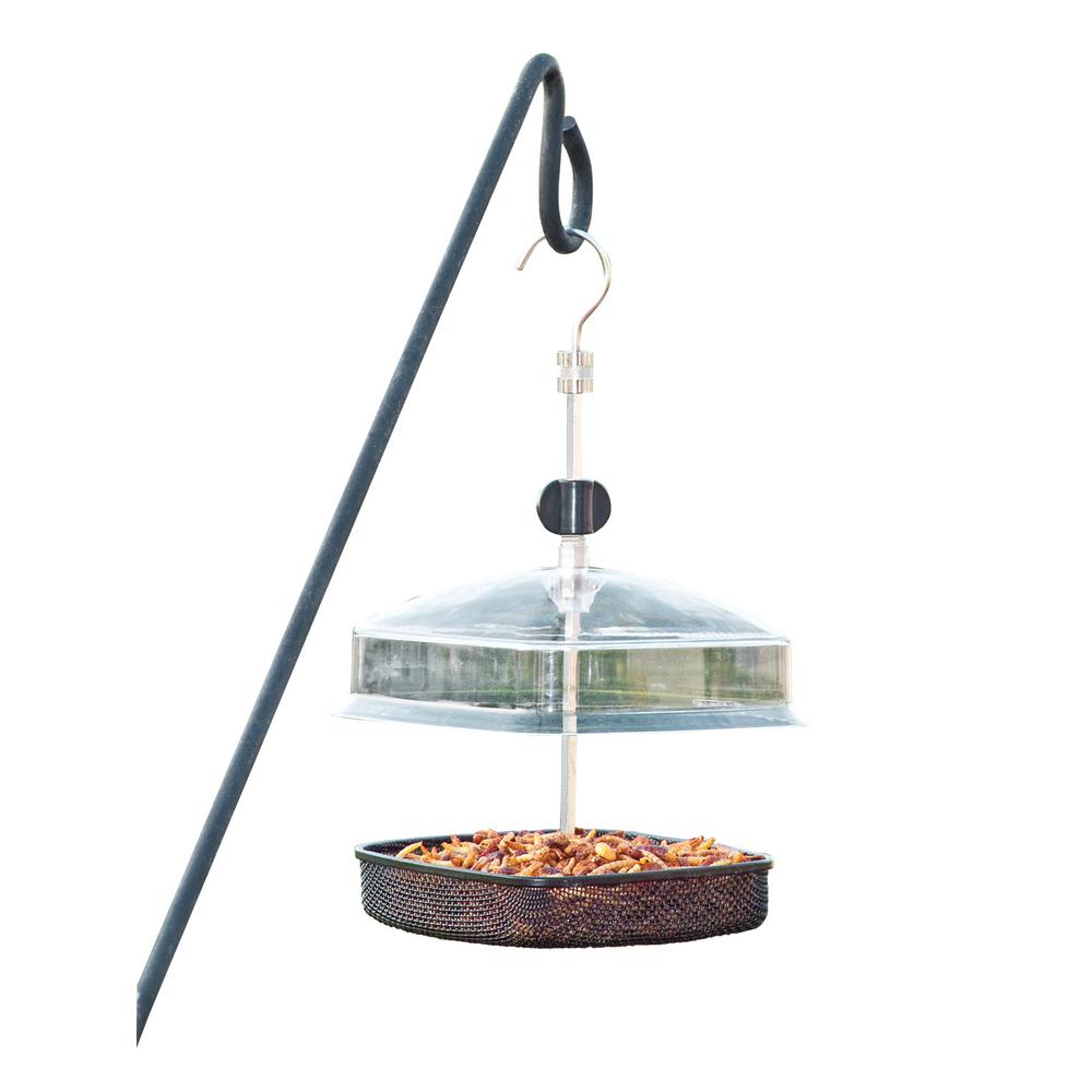 Audobon Workshop Multi Treat Backyard Bird Feeder 3640 The Home