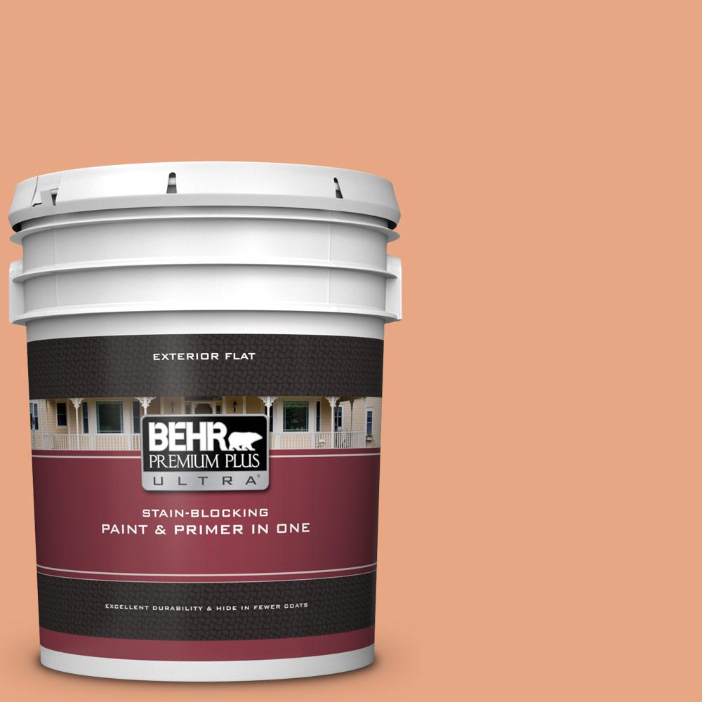 BEHR Premium Plus Ultra 5 gal. 240D4 Ceramic Glaze Flat Exterior