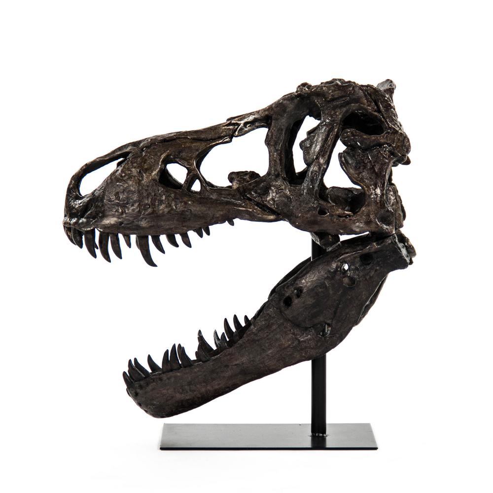 Zentique Polyresin Glazed Dark Bronze Tyrannosaurus Rex Skull W