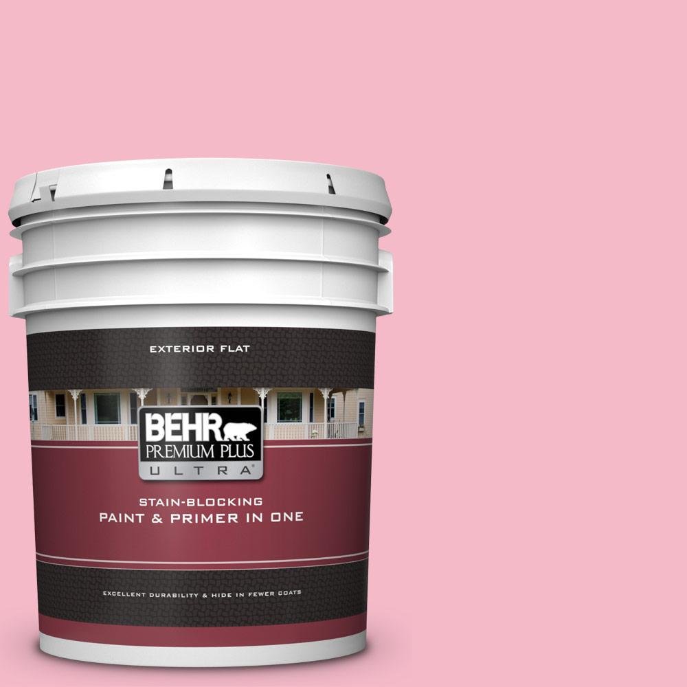 Behr Premium Plus Ultra 5 Gal 120c 2 Pink Punch Flat Exterior 120c 2 Pink Punch Flat Exterior Paint