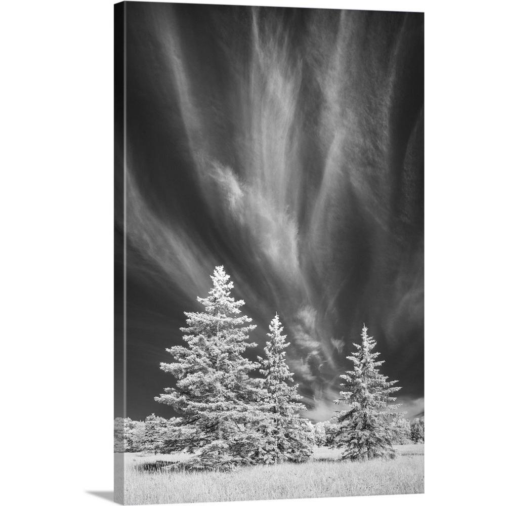 Greatbigcanvas Madeline Island Trees By Tony Sweet Canvas Wall