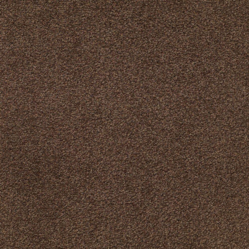 brownstone platinum plus carpet samples mo 657042 64_1000