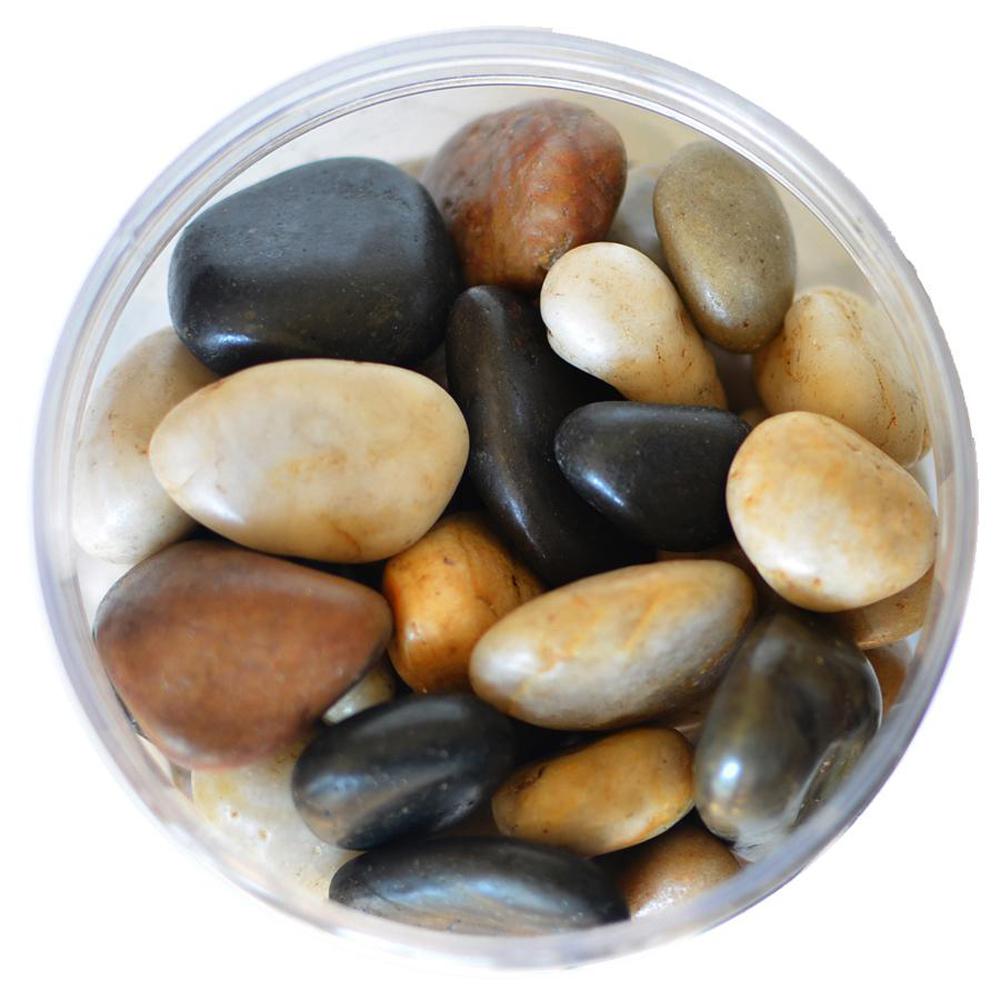 Mosser Lee Decorator 0.04 cu. ft. 5 lb. Mixed River Stones in Storage Jar by Mosser Lee