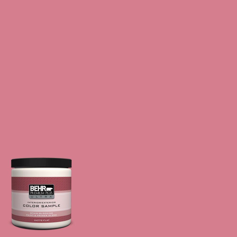 Behr Premium Plus Ultra 8 Oz P140 4 I Pink Can Matte Interior P140 4 I Pink Can Matte