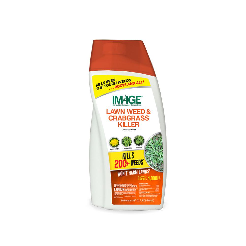 IMAGE 32 oz. Lawn Weed and Crabgrass Killer Concentrate100526912 The Home Depot