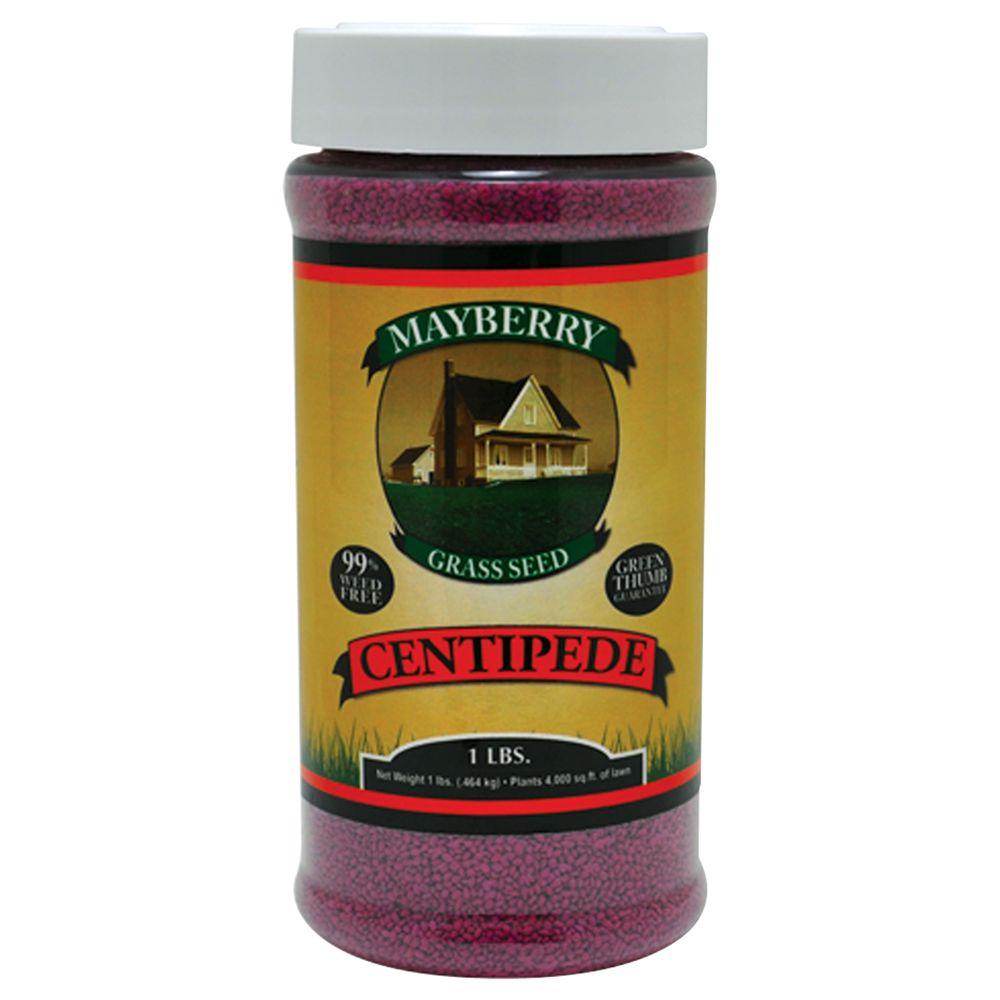 Mayberry 1 lb. Centipede Seed42010 The Home Depot