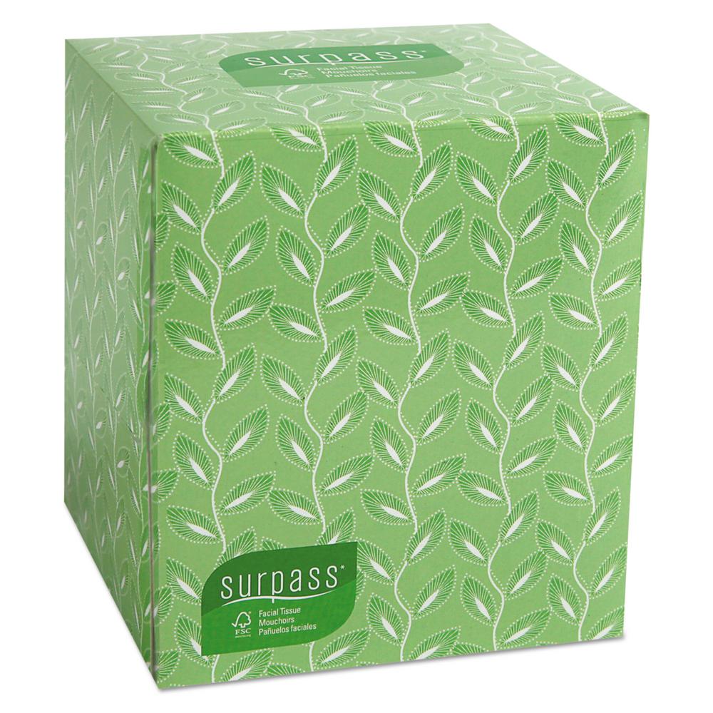 Unscented 30 Boxes//Big Case 2-Ply White Kimberly-Clark Professional Surpass Facial Tissue Flat Box 21340 100 Tissues//Box