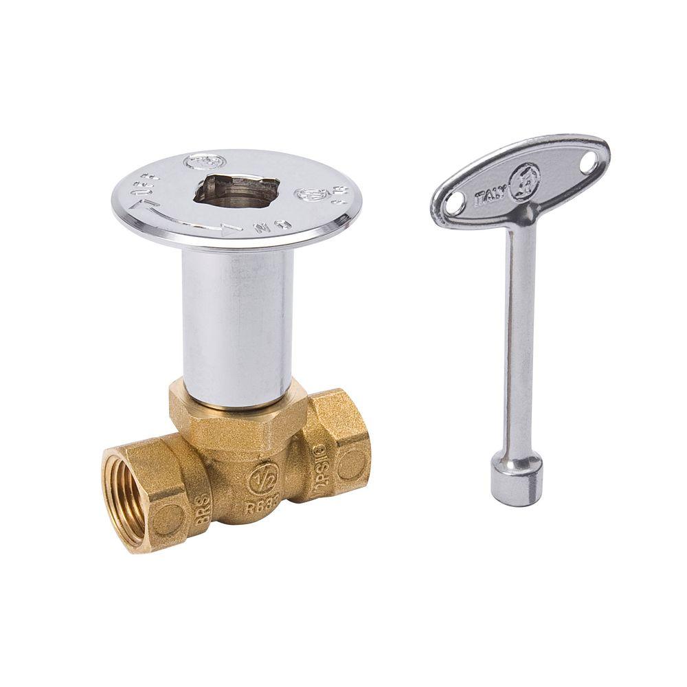 BK PRODUCTS 1/2 in. FIP Brass Straight Log Lighter Gas Valve, Floor