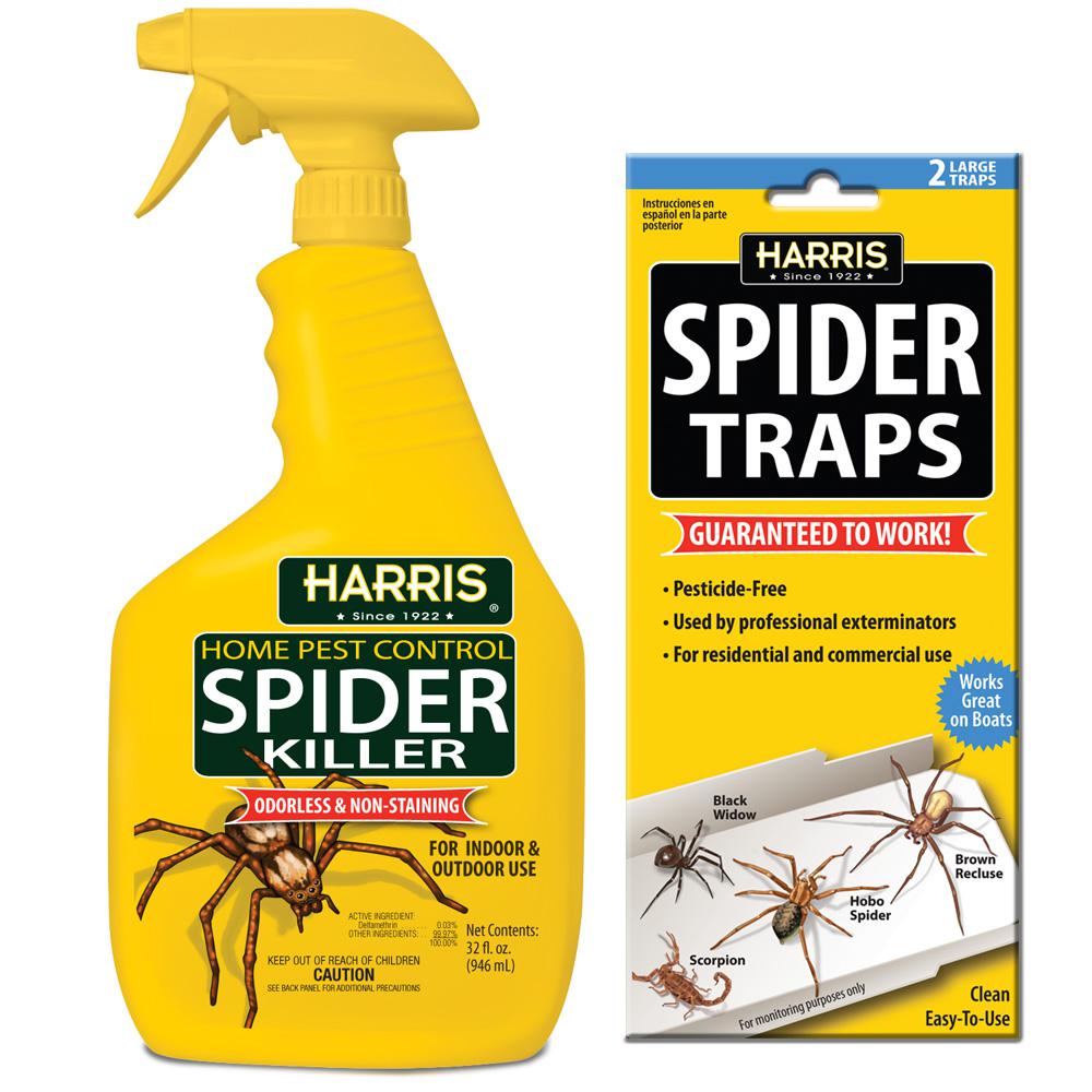 Terro Spider Spray T2302 6 The Home Depot Spider And Traps Value Pack