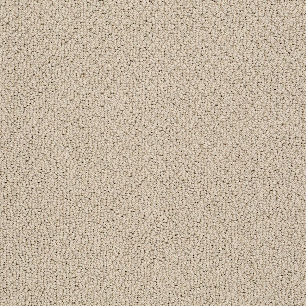 Lifeproof Dublin Color Safari Loop 12 Ft Carpet Hdf0099135 Color Safari Loop 12 Ft Carpet