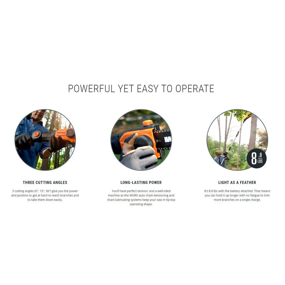POWER SHARE 8 in. 20-Volt Lithium-Ion Cordless Attachment Capable Electric Pole Chain Saw (Tool-Only)