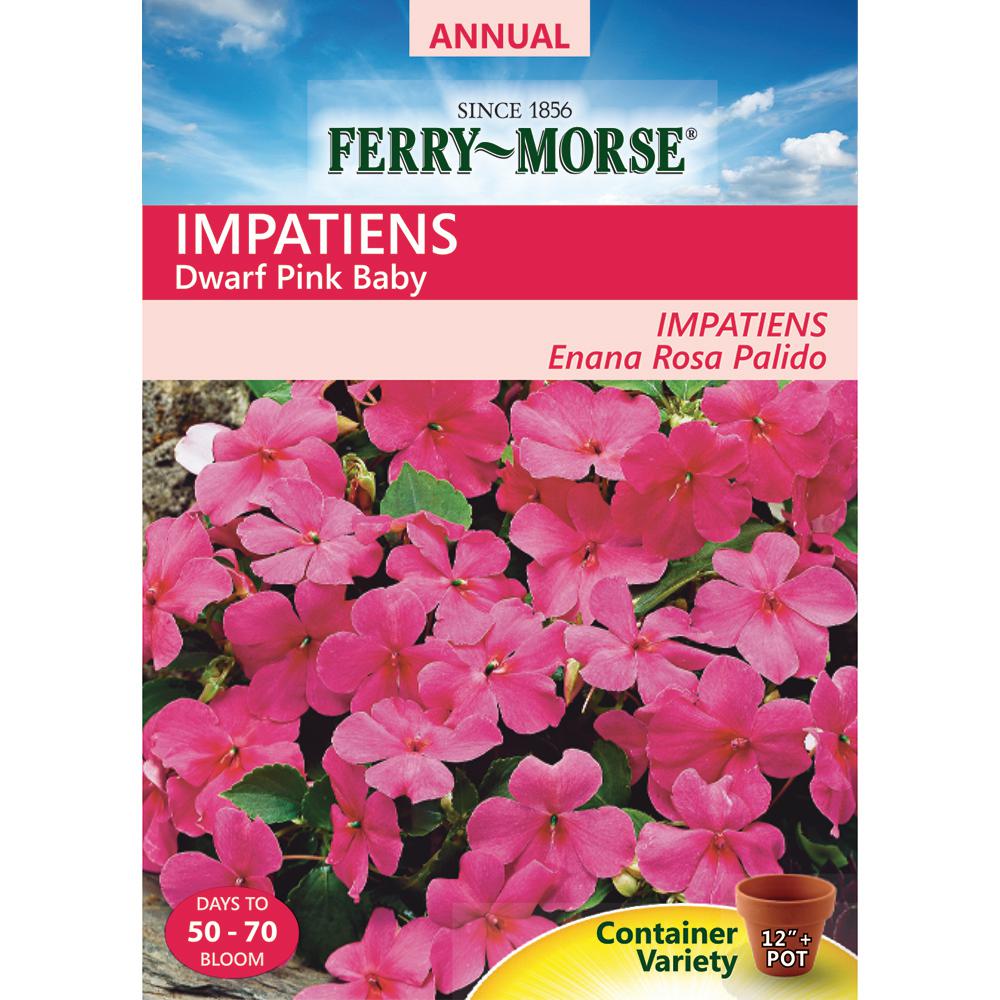 Ferry Morse Impatiens Dwarf Pink Baby Seed 1059 The Home Depot Ferry Morse Impatiens Dwarf Pink Baby Seed