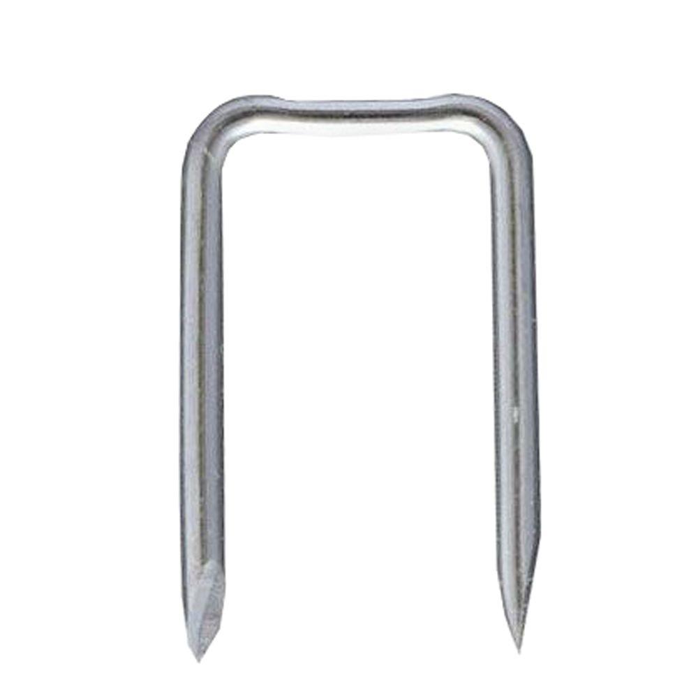 Briscon 1 in. x 1/2 in. Zinc-Plated Steel Staples (5,000-Pack), Silver