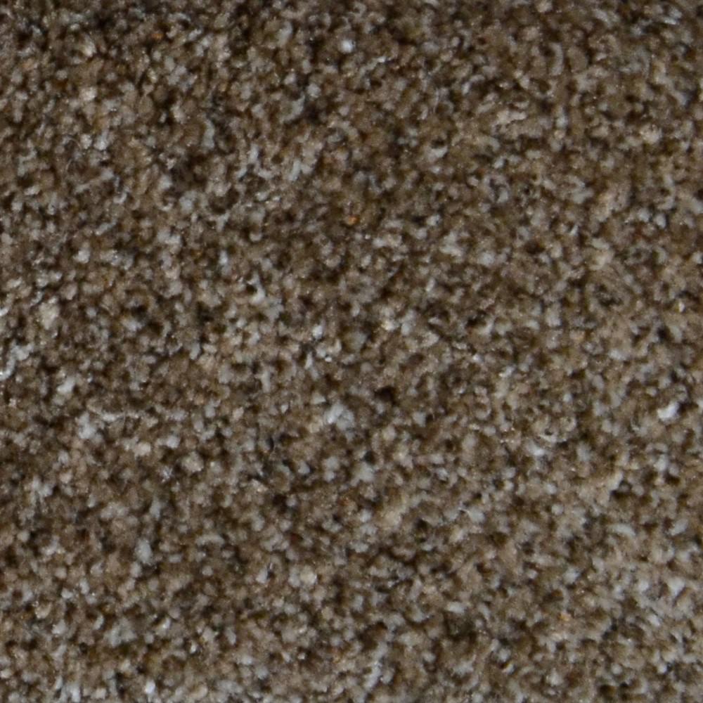  Home Decorators Collection Carpet  Sample Appalachi II S 