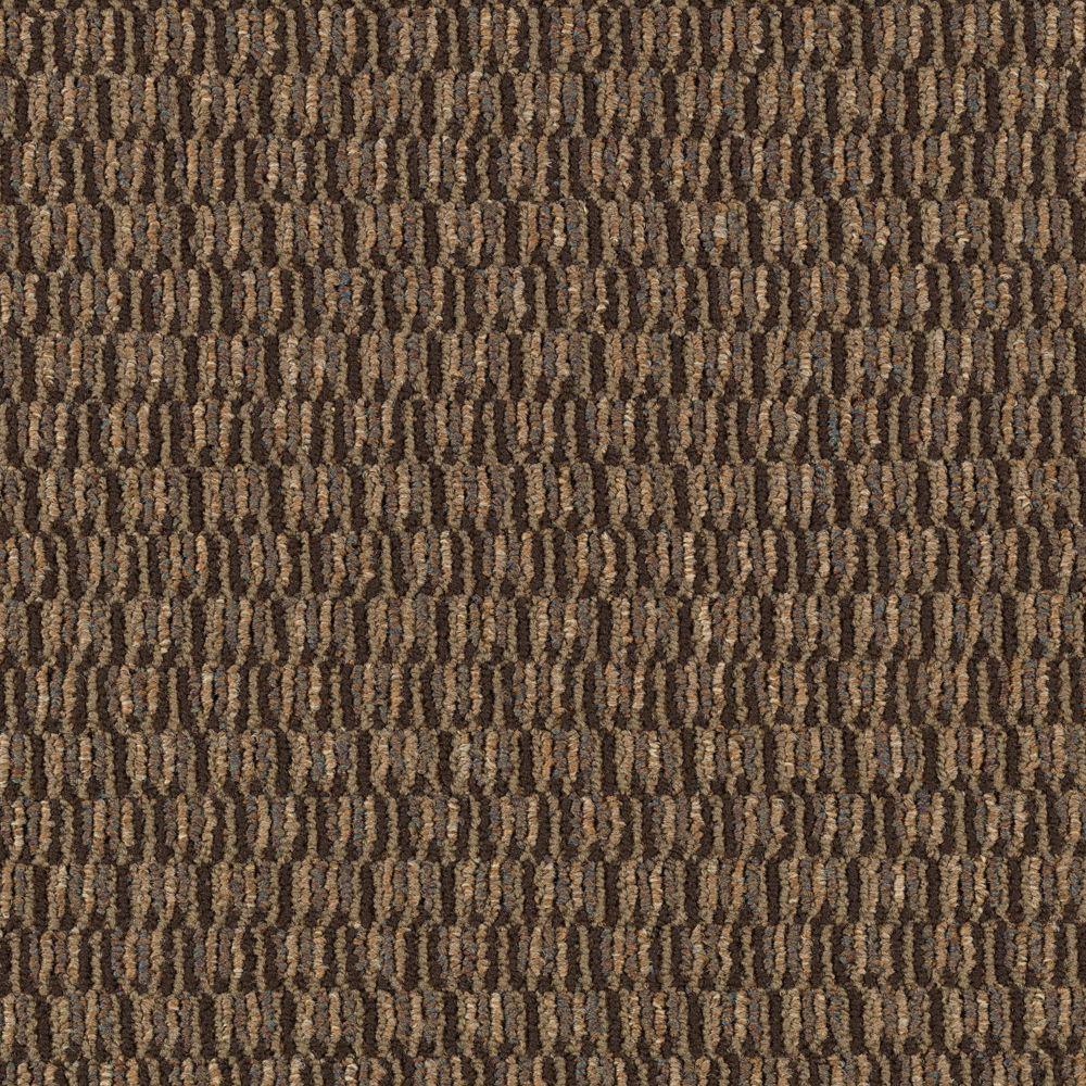 Trafficmaster Carpet Sample Social Network Ii Color Tree Bark Carpet Sample Social Network Ii Color Tree Bark Loop 8 In X