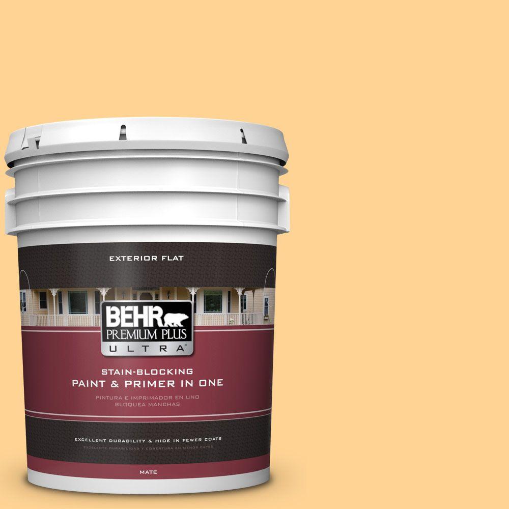 Behr Premium Plus Ultra 5 Gal 300b 4 Sunporch Flat Exterior Paint 300b 4 Sunporch Flat Exterior Paint And