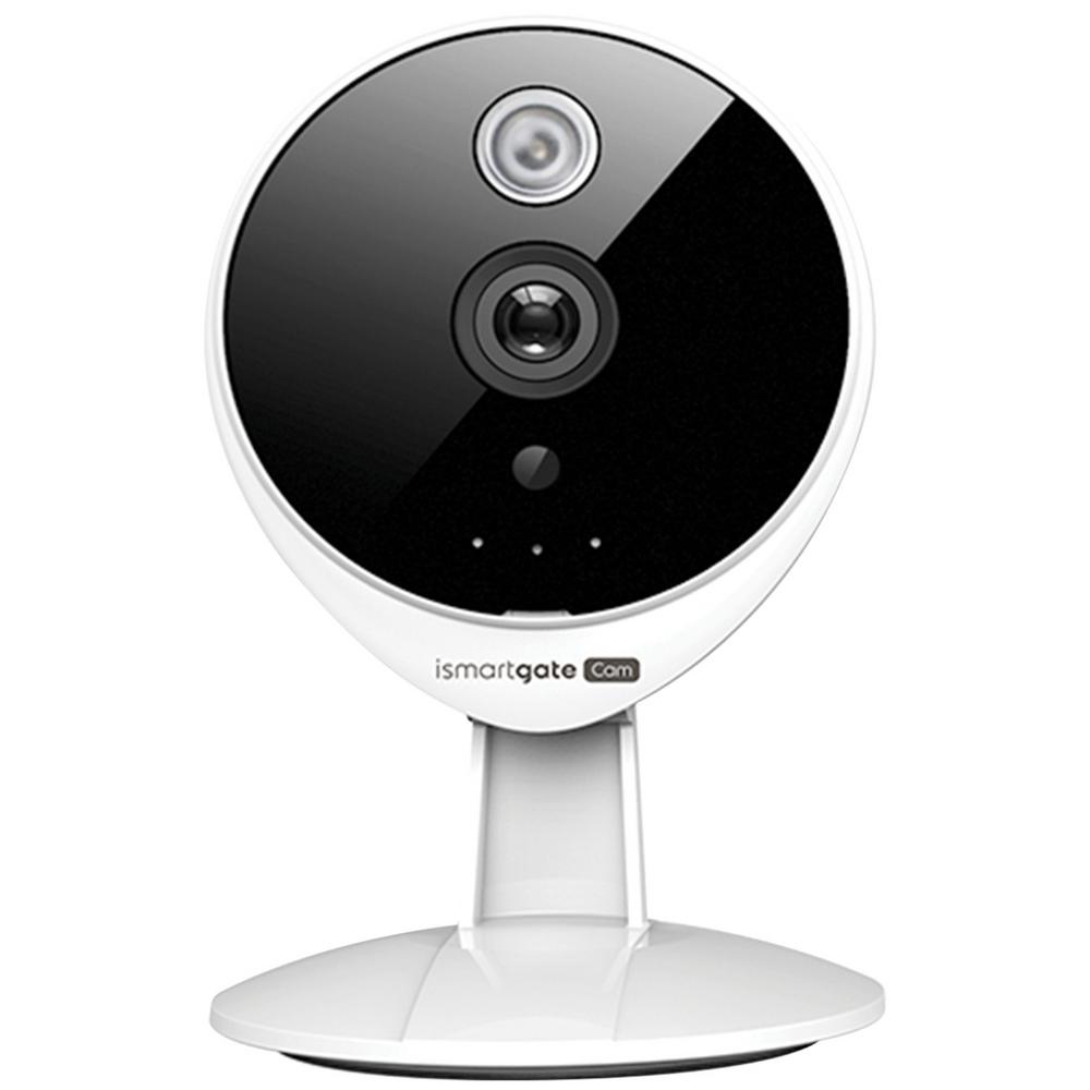 gogogate alexa
