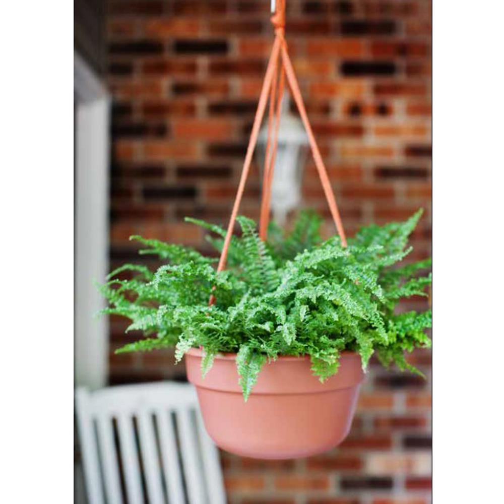 Bloem 12 x 6.75 Terra Cotta Dura Cotta Plastic Hanging Basket Planter