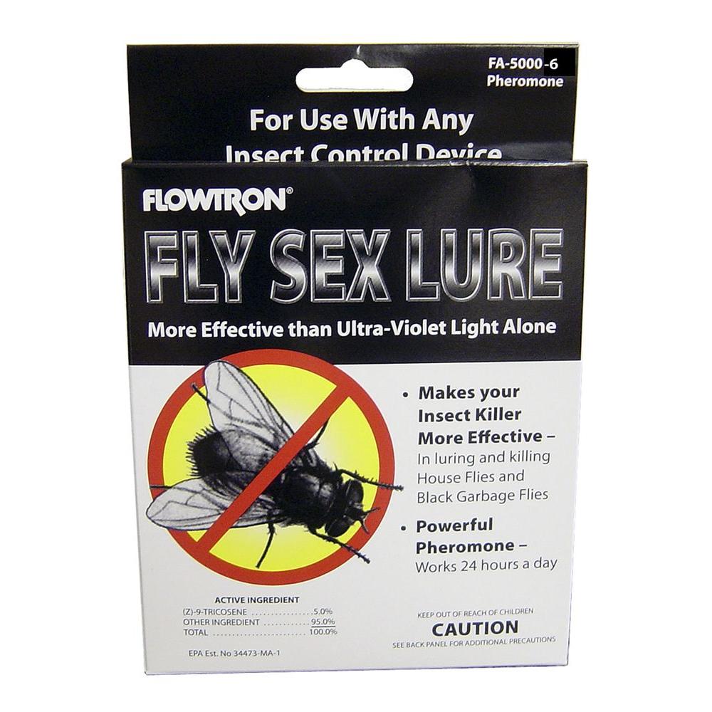 fly attractant and killer