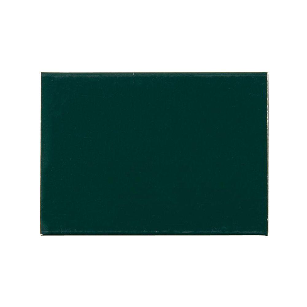 Andersen Storm Door Color Sample Forest Green Rp Chip Andersen Storm Door Color Sample Forest Green Rp Chip Gr The Home Depot