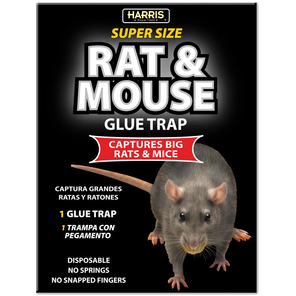 mouse glue trap