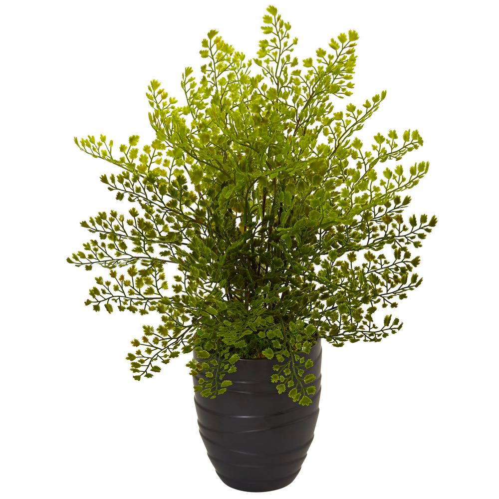 Nearly Natural Indoor Maiden Hair Artificial Plant in Black Ceramic Pot ...