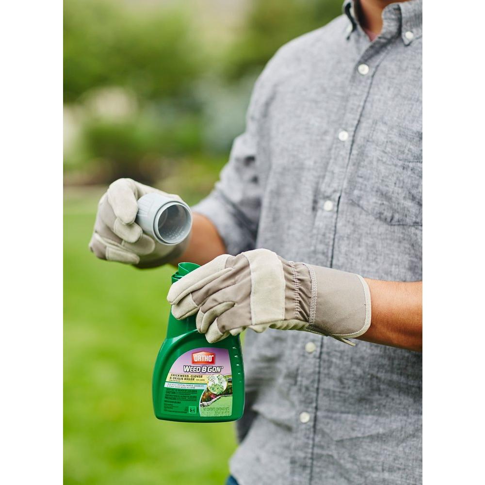 Weed B Gon 16 oz. Chickweed Clover Oxalis Killer Lawns Concentrate