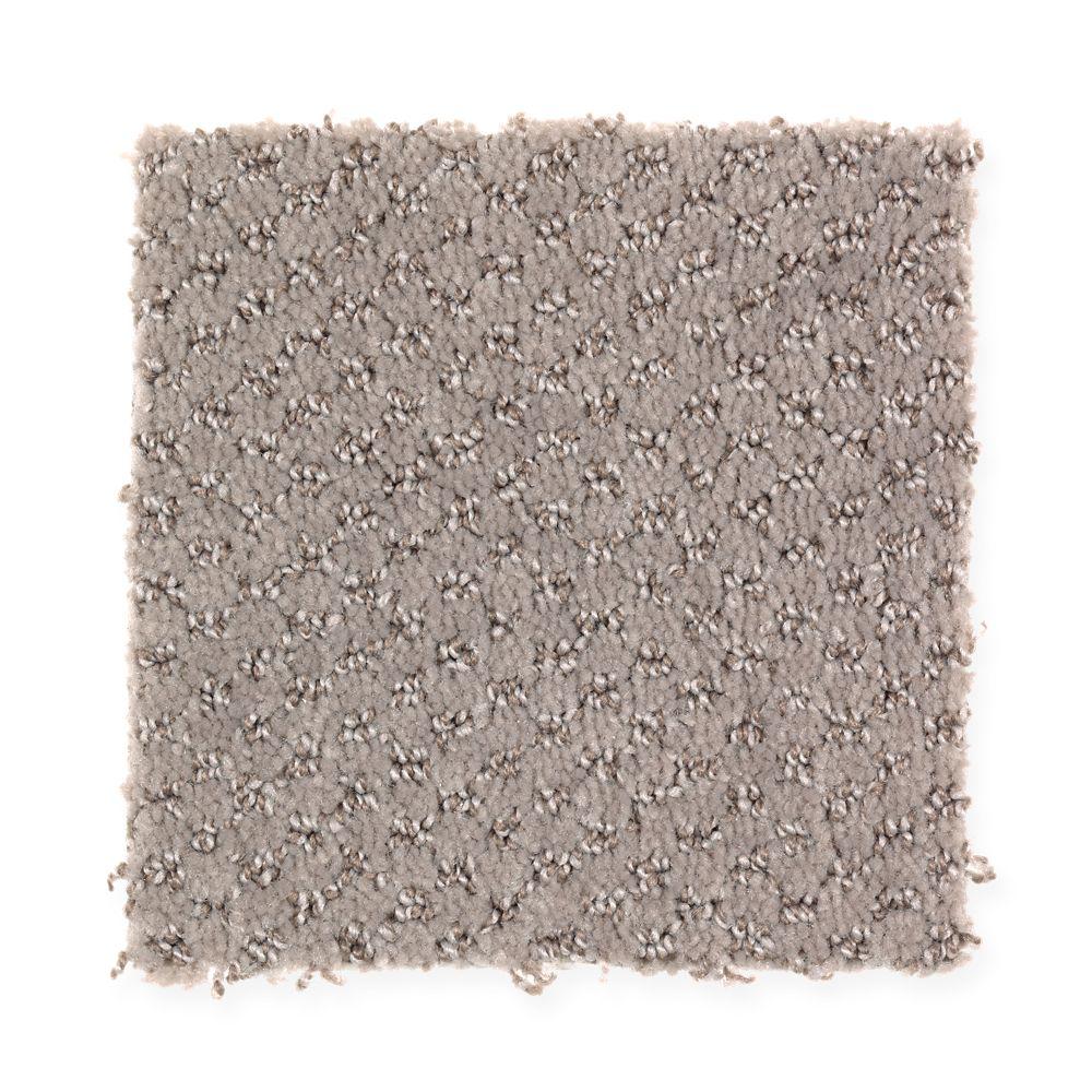  Home  Decorators  Collection  Energetic Color Taupe Essence 