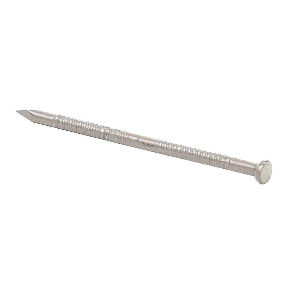 GripRite 161/2 x 1 in. White Steel Panel Board Nails (6 oz. Pack