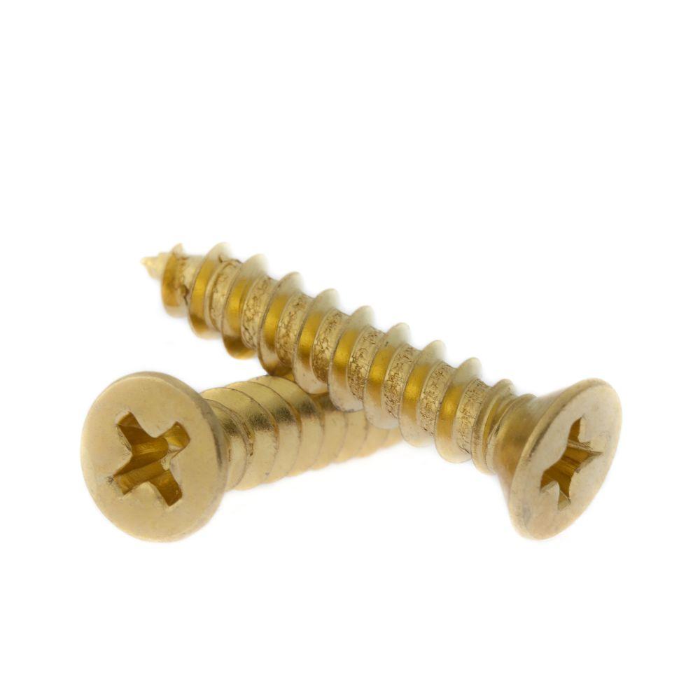 9 x 1 in. Bright Brass Specialty Door Hinge Screw with Oversize