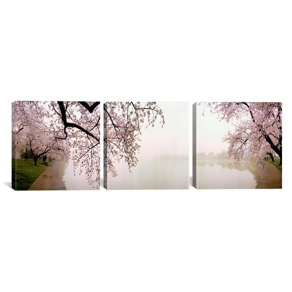 Icanvas Cherry Blossoms At The Lakesidewashington Dc Usa By Panoramic Images Canvas Wall Art Pim7662 3pc6 60 The Home Depot