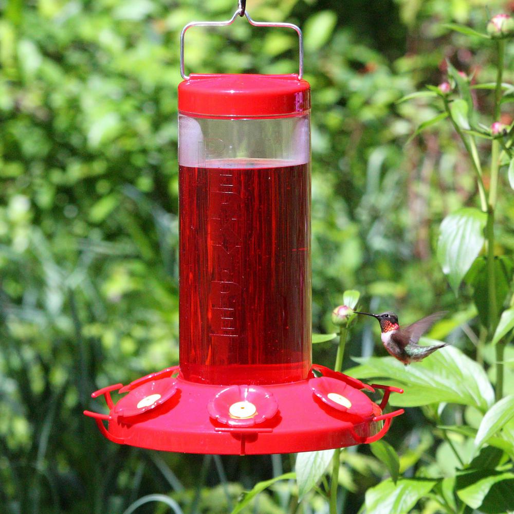 Perky Pet 64 Oz Red Ready To Use Hummingbird Nectar 239 The