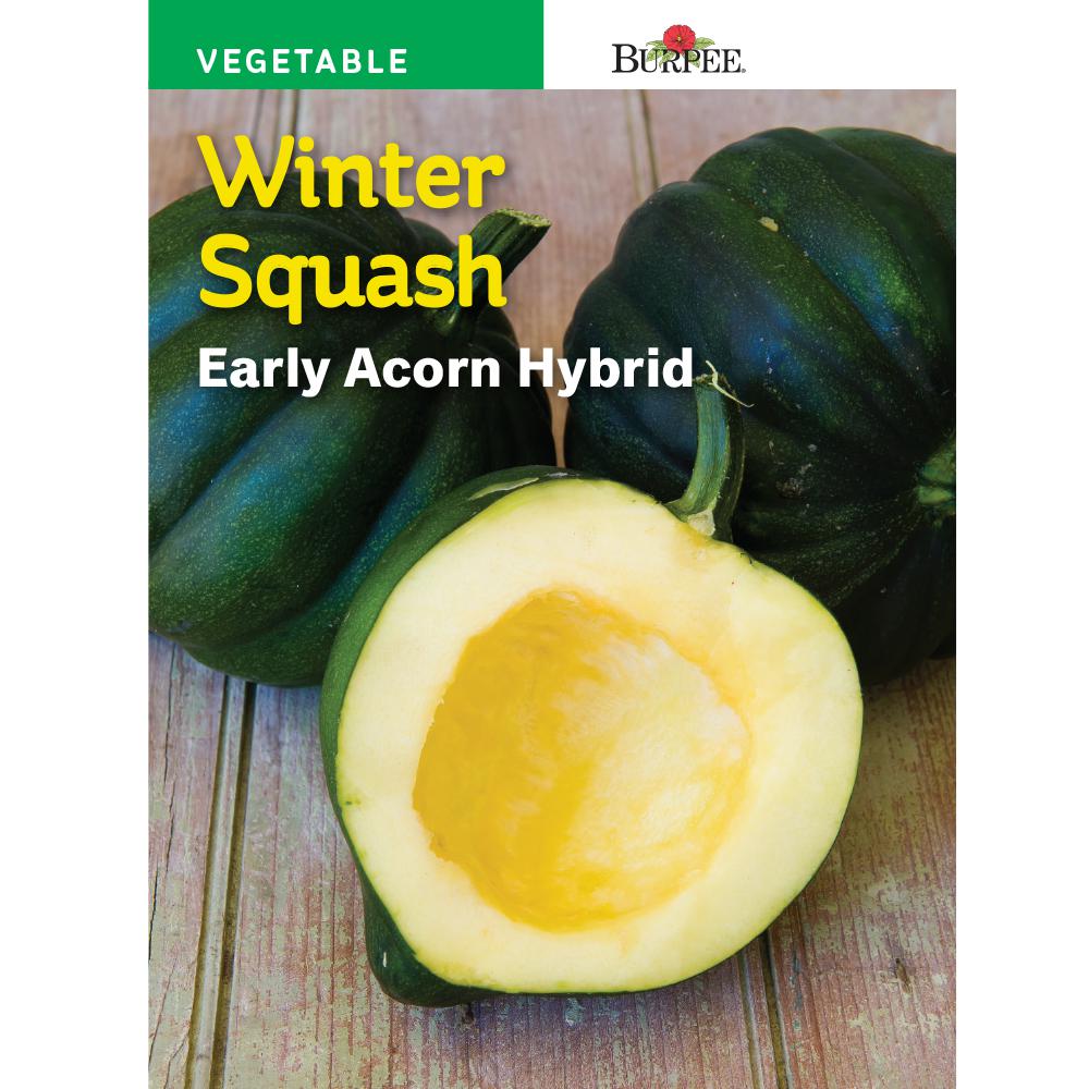 acorn squash seeds