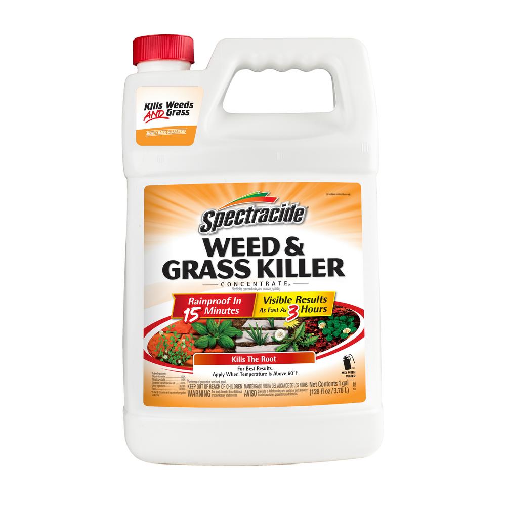 Ortho Weed B Gon 1 Gal. Weed Killer Concentrate-0430005 - The Home Depot