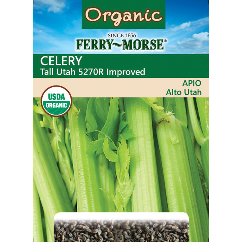 Celery Plant Seeds Garden Center The Home Depot