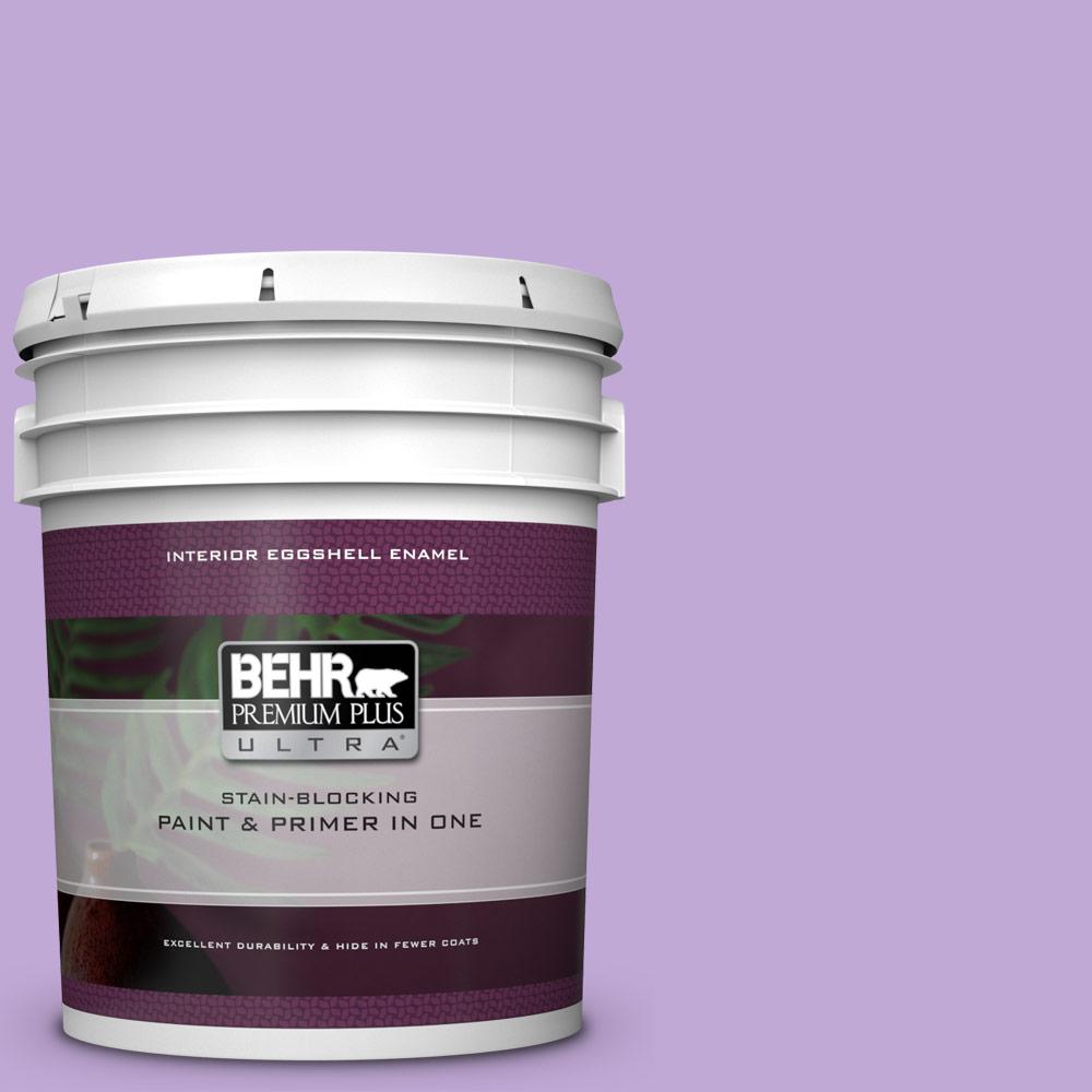 Purple Behr Paint Colors To Transform Your Home - Paint Colors