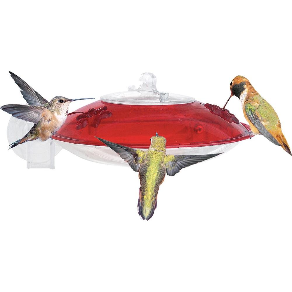 Droll Yankees 6 5 In Window Hummer Window Mounted Hummingbird