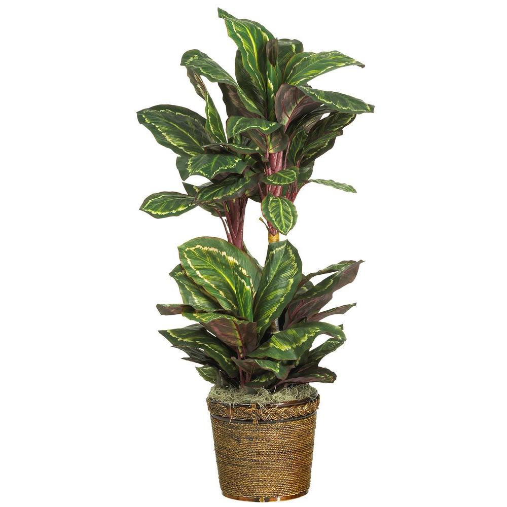 Nearly Natural 45 In Maranta Silk Plant With Wicker Basket 6591