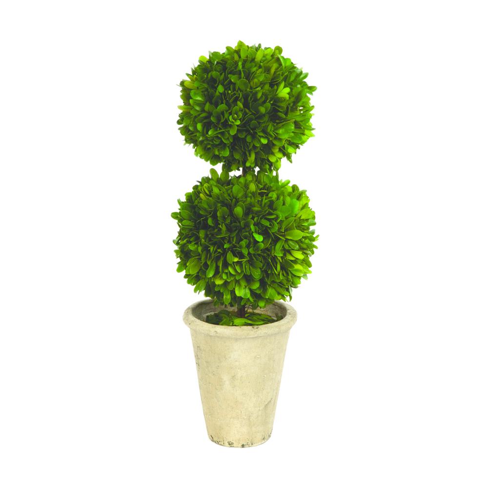 Boxwood Collection 17 In Preserved Double Ball Topiary Boxwood Collection 17 In Preserved Double Ball Topiary