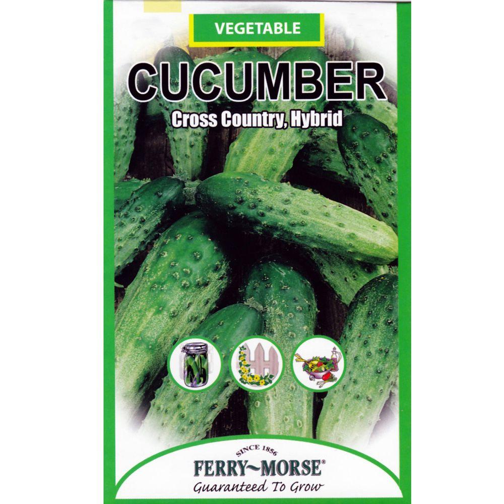 Ferry-Morse Cucumber Cross-Country Hybrid Seed