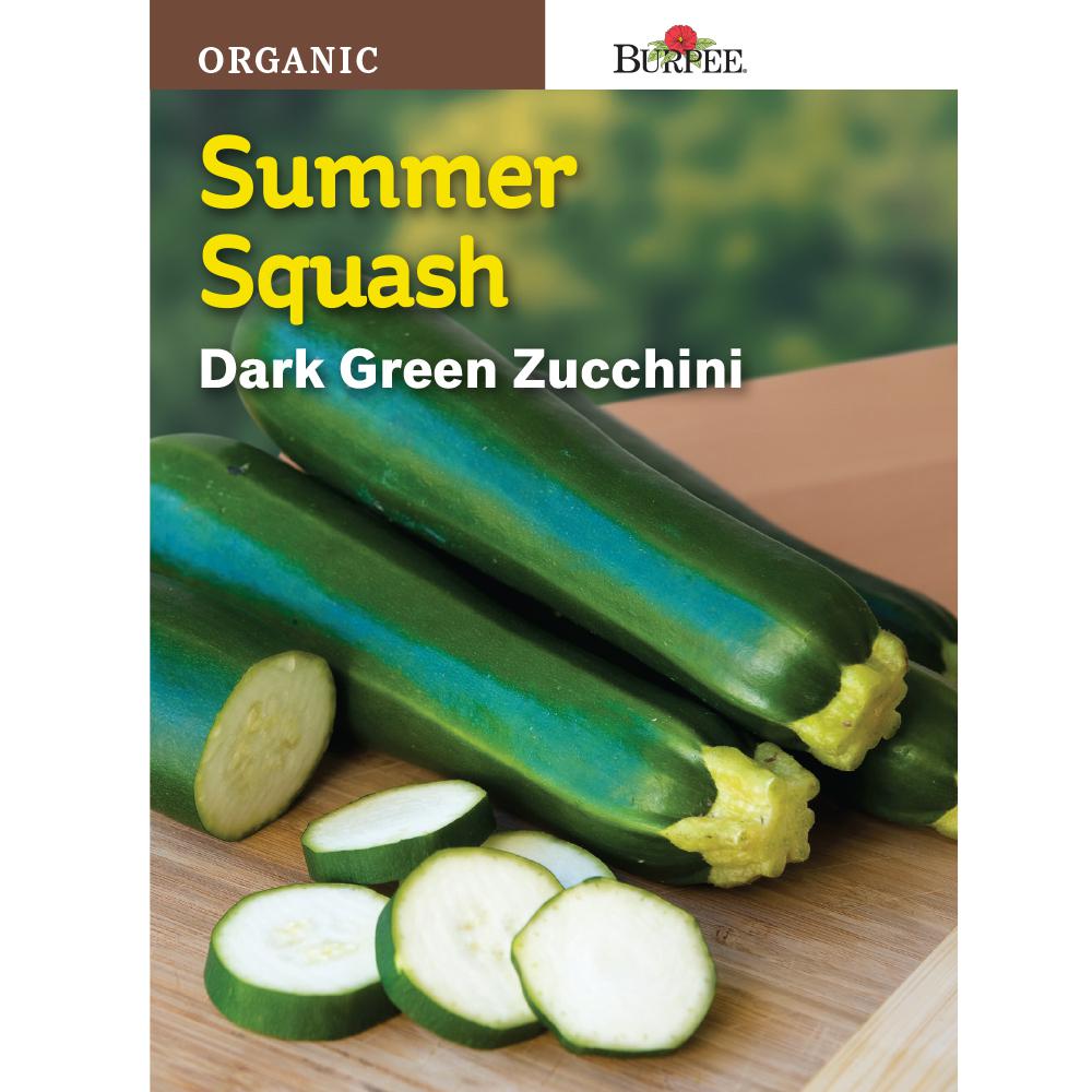 Burpee Squash Summer Dark Green Zucchini Organic Seed60938 The Home Depot