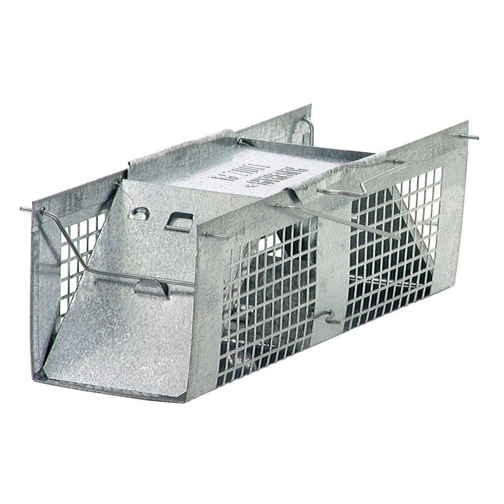 Havahart X Small 2 Door Professional Live Animal Cage Trap For Mice Rat And Vole 1025 The Home Depot