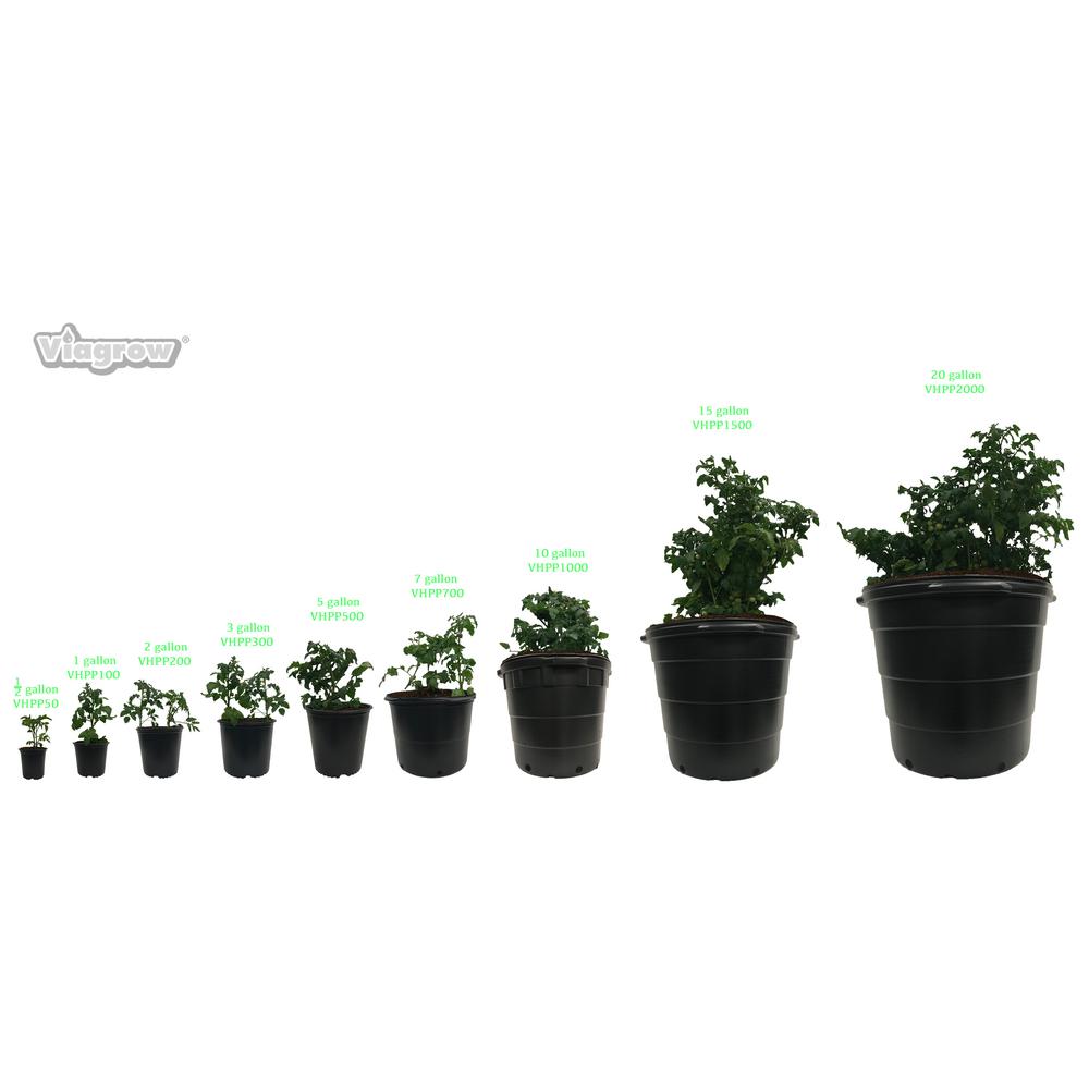 Viagrow 10 Gal Round Plastic Nursery Pots Pack Vhpp1000 10 Gal Round Plastic Nursery Pots