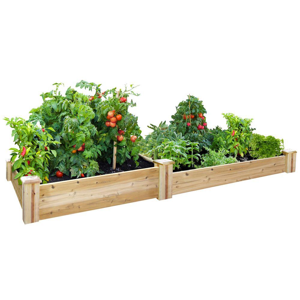 Raised Garden Beds Center The Home Depot Cedar Raised Garden Bed