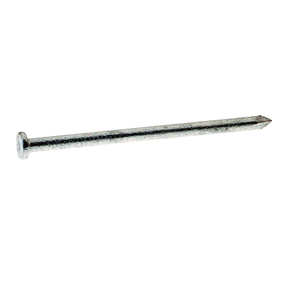 Grip Rite 6 X 4 In 20 Penny Hot Galvanized Steel Common Nails 1 Lb Pack 20hgc1 The Home Depot