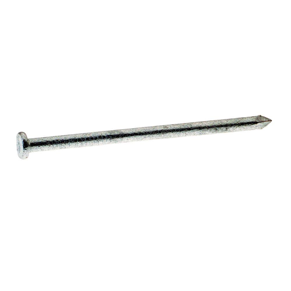 GripRite 6 x 4 in. 20Penny HotGalvanized Steel Common Nails (1 lb